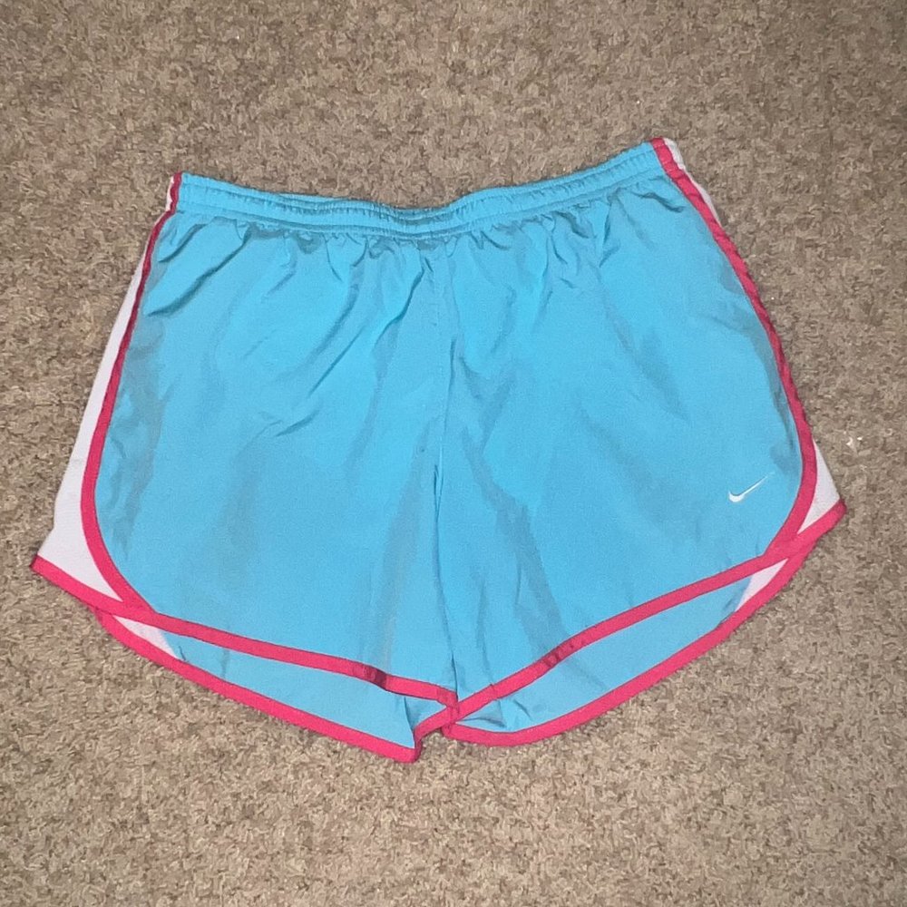 Blue and Pink Nike Shorts